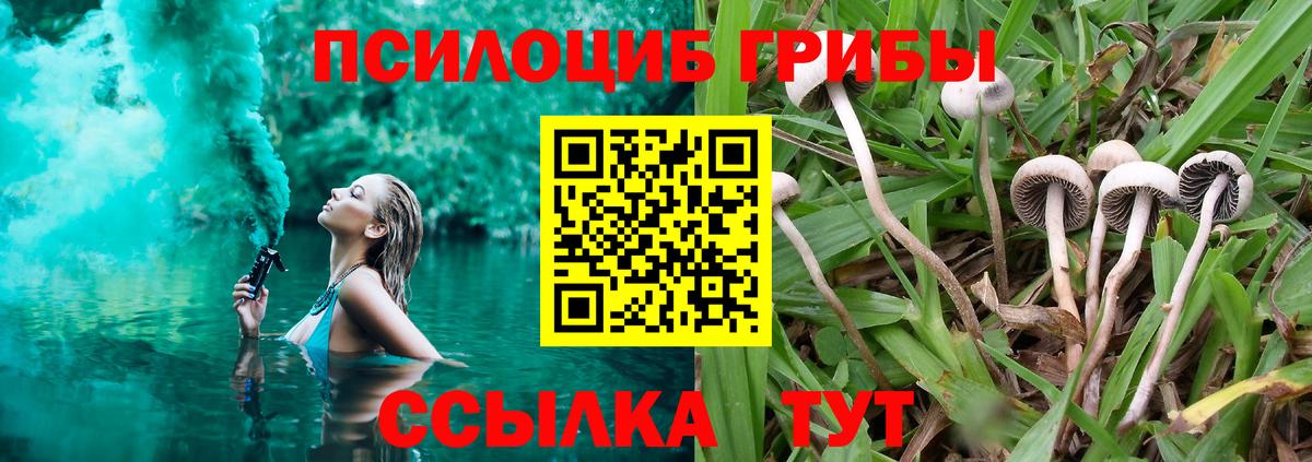Галлюциногенные грибы Cubensis Воскресенск